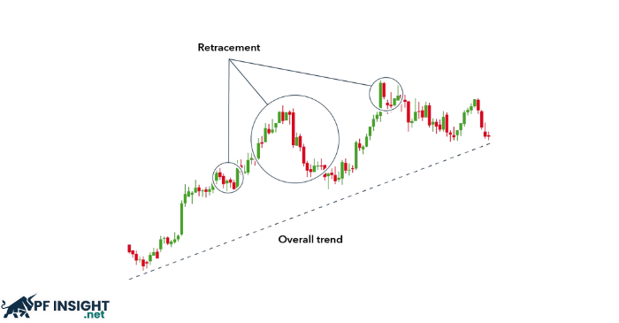 What are trading models?