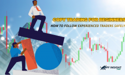 Copy trading for beginners: How to follow experienced traders safely