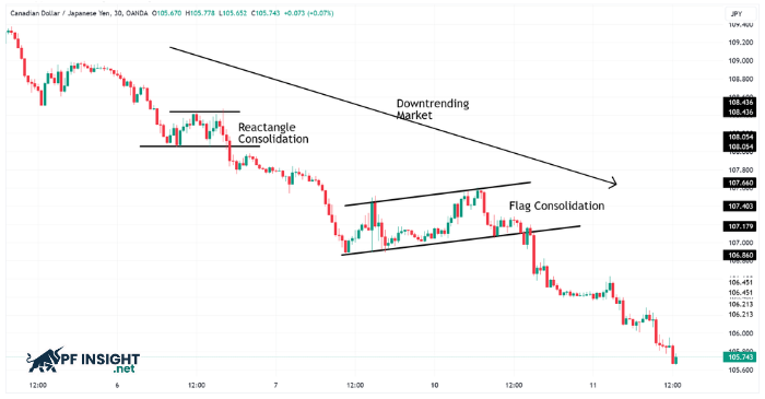 A chart illustration showing how a trend following strategy continues to follow the primary trend in a declining market, even as price goes through consolidation phases and short-term volatility.