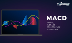 MACD indicator tips to get better long term results MACD indicator tips to get better long term results