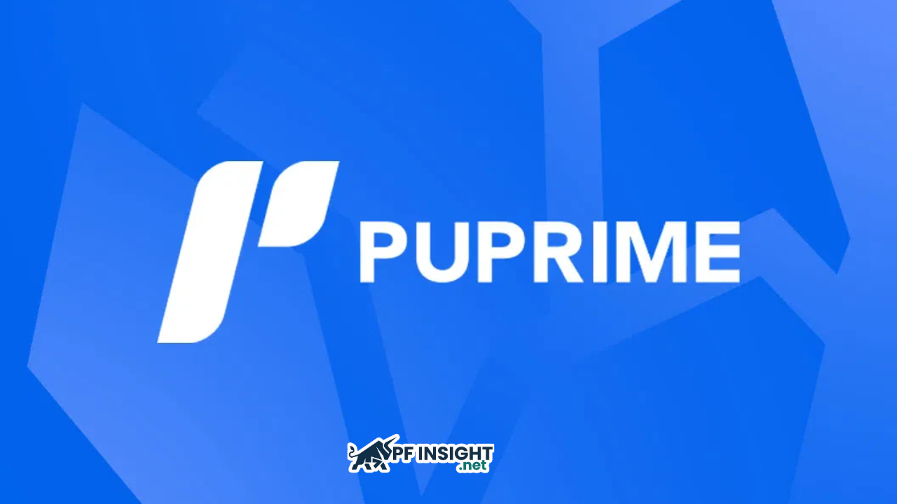 PU Prime launches an official verification tool, raising trust standards