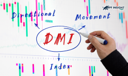 Directional movement index and the role of positive and negative directional movement